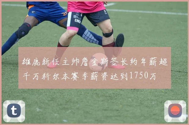 雄鹿新任主帅詹金斯签长约年薪超千万科尔本赛季薪资达到1750万