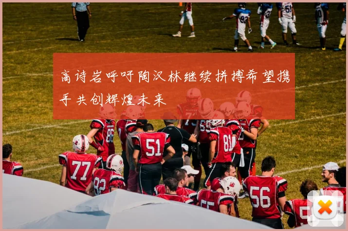 高诗岩呼吁陶汉林继续拼搏希望携手共创辉煌未来